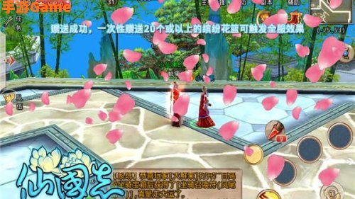 冰剑花雨