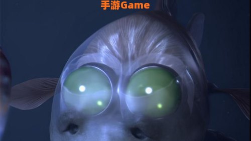 管眼鱼