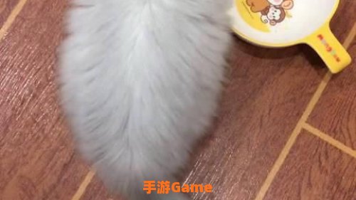 两个呆