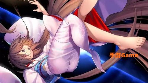 fgo两仪式