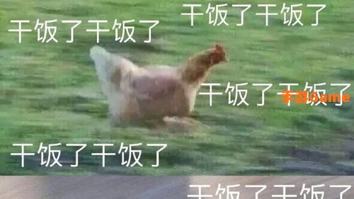 干饭人是什么意思什么梗