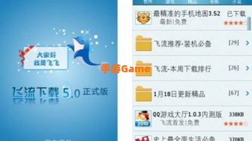飞流下载